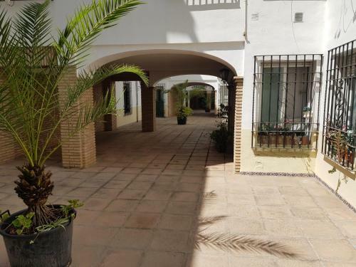 Apartamento En Los Patios de San Basilio