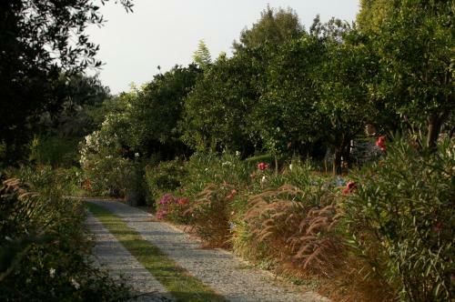 Hostal Olive Farm Of Datca Guesthouse