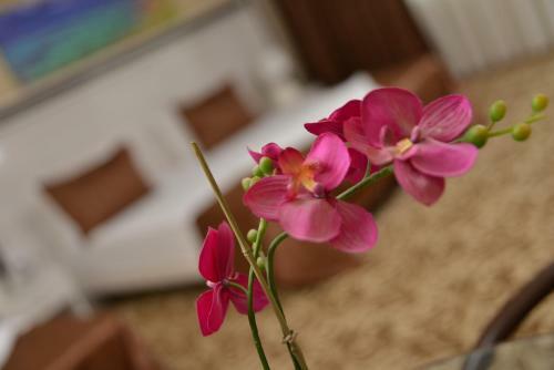 Hotel Atamer Doga Resort