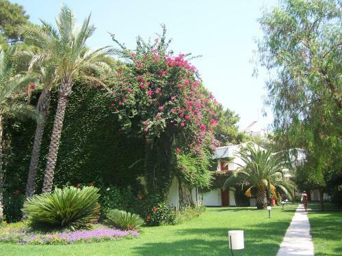 Hotel Club Boran Mare Beach