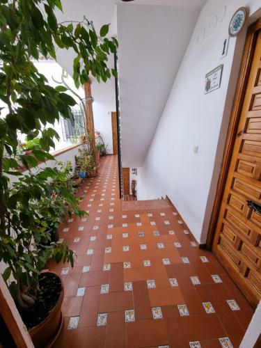Apartamento Patio Cordob�s San Basilio