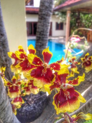Villa Puri Jati Retreat