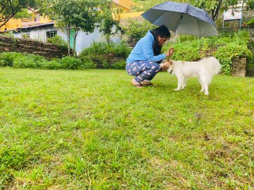 Mkhomestay