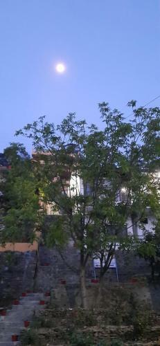 Mkhomestay