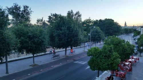 Apartamento Paseo de La Ribera 32