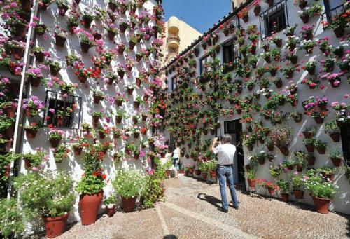 Apartamento Centrum C�rdoba Con Parking