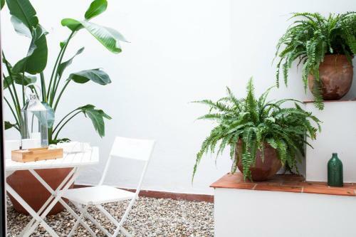Apartamento Entrenaranjos