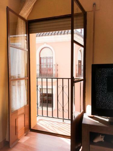 Apartamentos Ruz