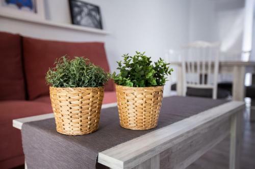 Apartamento Mis Rayitos
