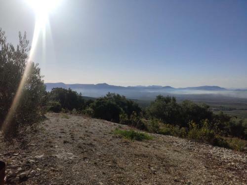 Cortijo Don Sim�n