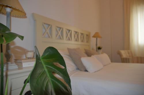 Apartamento C�rdoba Cool Vailima 2