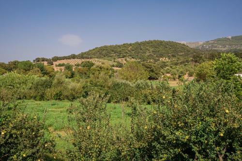 Villa Casa Rural El N�spero