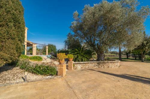 Villa S'alfabia