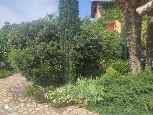 Finca La Calancha