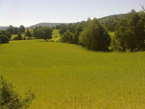 Agroturismo Vivelorural