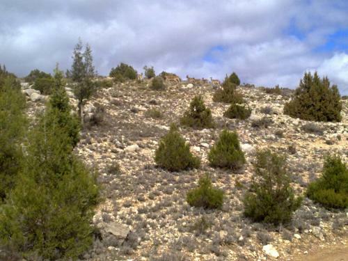 Agroturismo Vivelorural