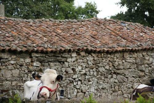 Stone Cottage Mistica