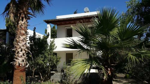 Alfa Apartments