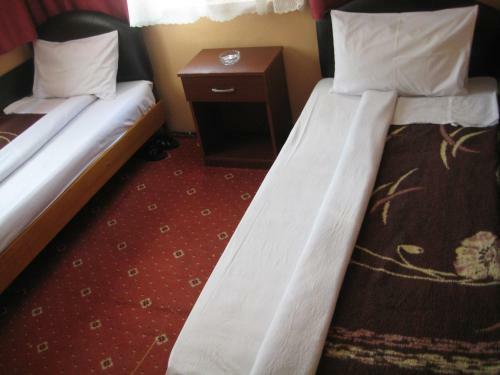 Hostal Hotel Necmi
