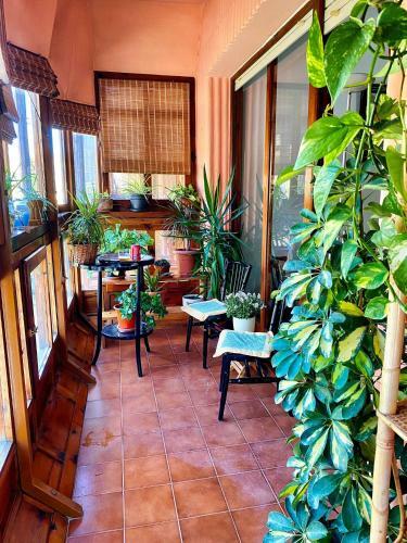 Apartamento La Tioca