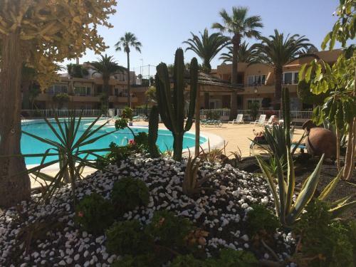 Apartamento Paradise