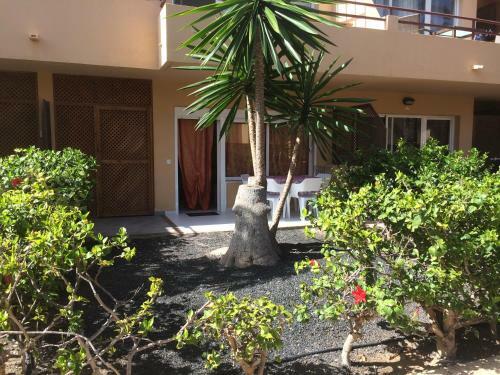 Apartamento Paradise