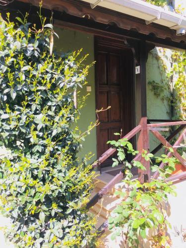 Hostal Piccolo Mondo Hotel