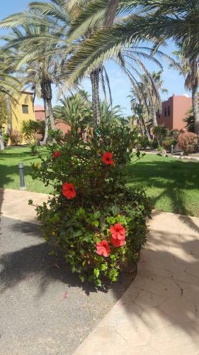 Apartamento Appartamento Spagnolo Oasis Tamarindo