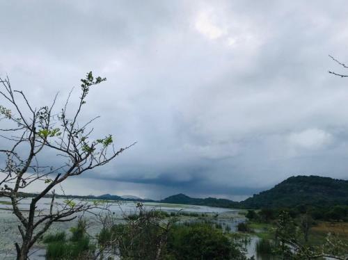 Elephant Lake