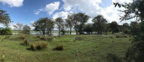 Elephant Lake