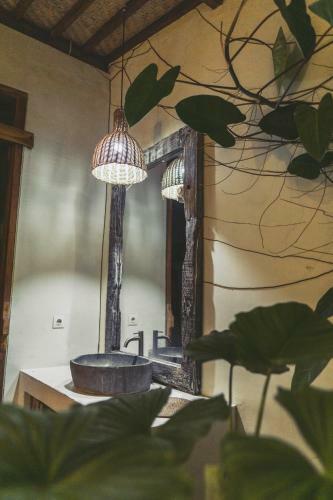 Adara Homestay