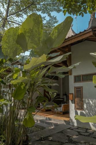 Adara Homestay