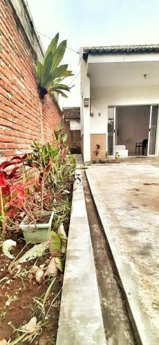 Hotel Robiu Bed & Breakfast