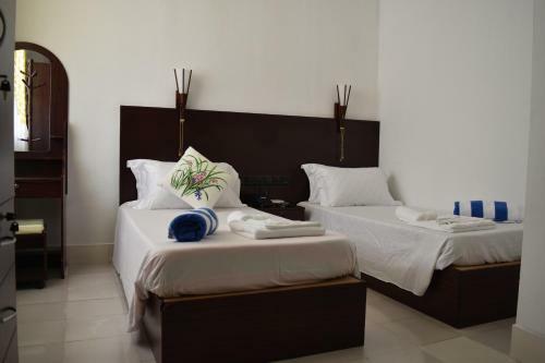 Hostal Island Guest