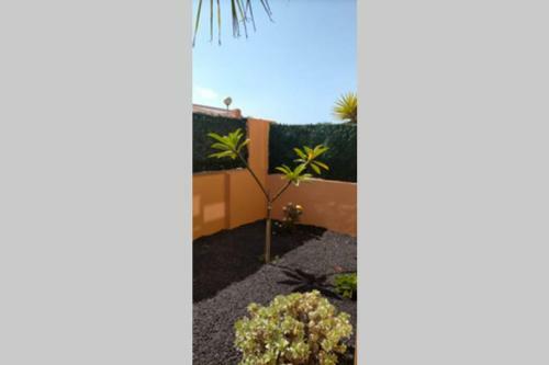 Villa Corralejo Dunas Relax