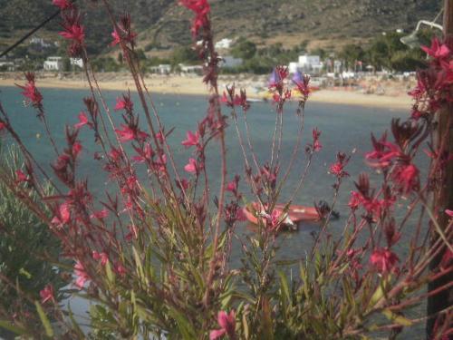Hotel Gorgona