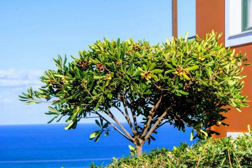 Apartamento Ippoliti Village