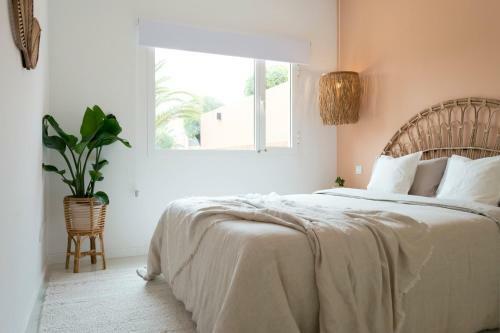 Apartment Maluhia