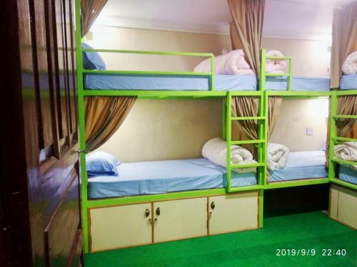 Big Tree Hostel