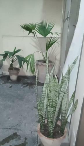 Two Bed Apartment At Quaid E Azam Interchange