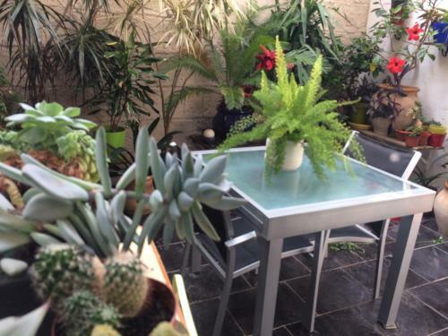 Apartamento Denia Townhouse