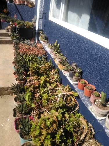 Apartamentos Havilah House Transients
