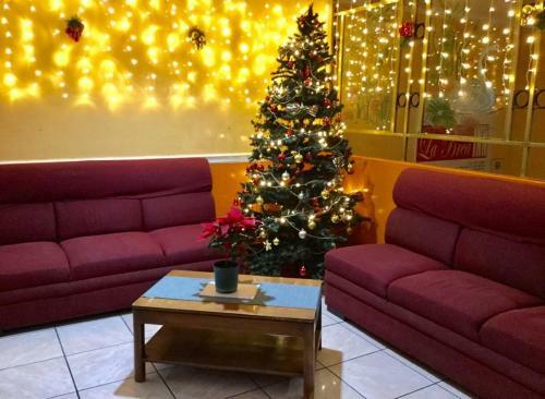 Posada La Brea Inn