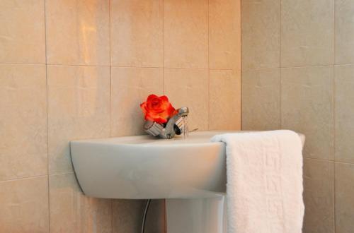 Apartamento George's Studios