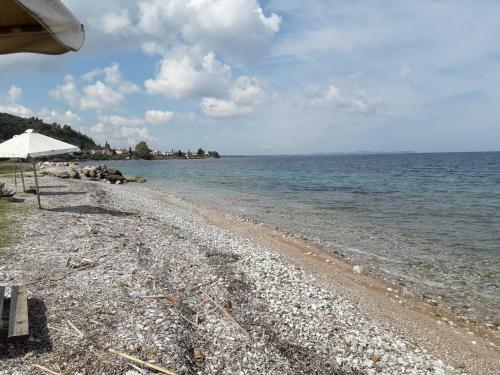 Aparthotel Hotel Dimitra