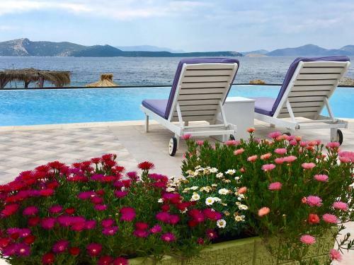 Venus Beach Hotel