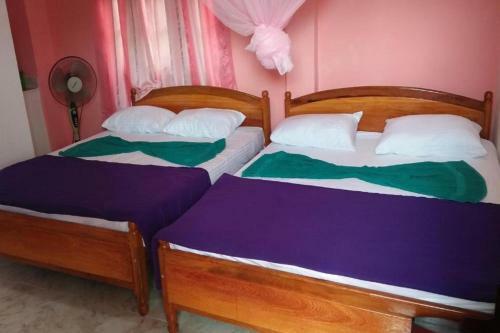 Hostal Mountain Top Guest