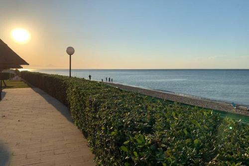 Apartamento Primera L�nea De Playa
