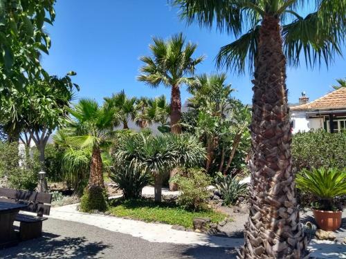 Apartamento Finca Primavera