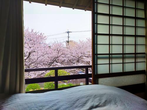 Hostal Guesthouse Sakichi